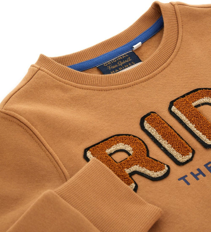VERSATILE ROUND NECK SWEATSHIRT  - BOYS' LONG SLEEVE SHIRTS  - Little Betty