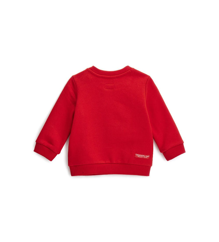 Sweatshirt in warm cotton - Little Betty